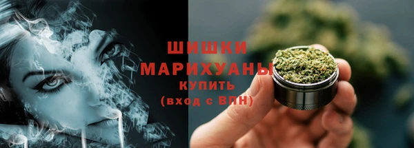 ГАЛЛЮЦИНОГЕННЫЕ ГРИБЫ Абаза