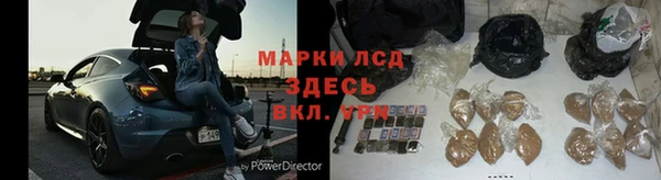 ГАЛЛЮЦИНОГЕННЫЕ ГРИБЫ Абаза