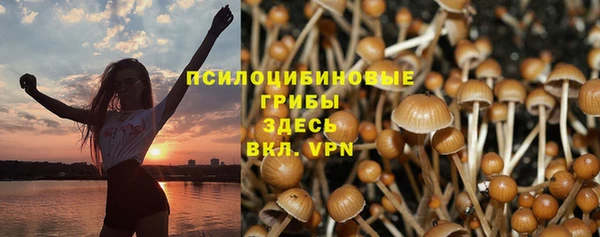 ГАЛЛЮЦИНОГЕННЫЕ ГРИБЫ Абаза