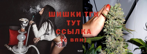 ГАЛЛЮЦИНОГЕННЫЕ ГРИБЫ Абаза