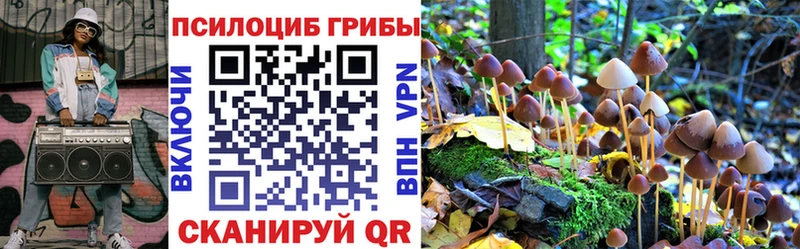 Псилоцибиновые грибы Magic Shrooms Ивангород