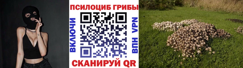 darknet какой сайт  Ивангород  Галлюциногенные грибы Psilocybine cubensis 